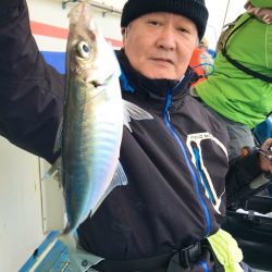 ヤザワ渡船 釣果