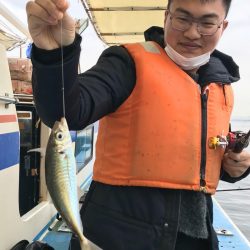 ヤザワ渡船 釣果