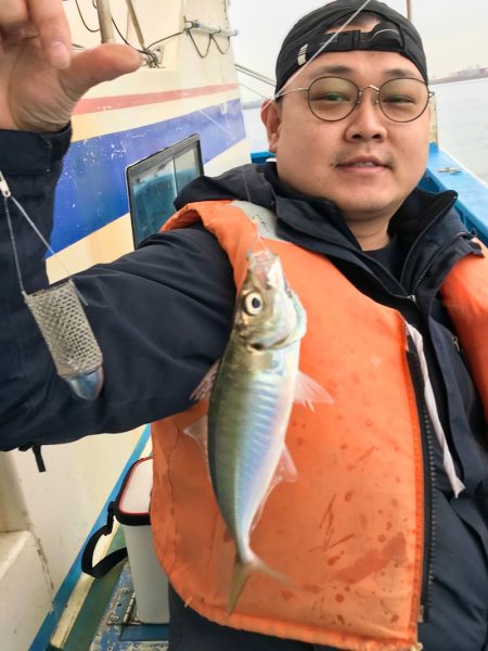 ヤザワ渡船 釣果