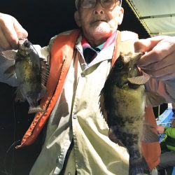 ヤザワ渡船 釣果