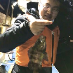 ヤザワ渡船 釣果