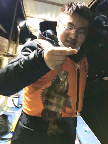 ヤザワ渡船 釣果