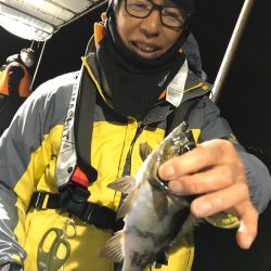 ヤザワ渡船 釣果