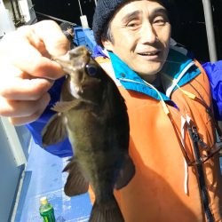 ヤザワ渡船 釣果