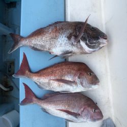 第二八坂丸 釣果