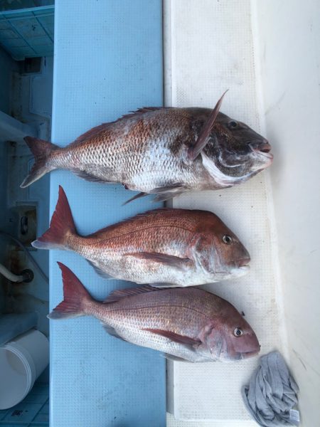 第二八坂丸 釣果