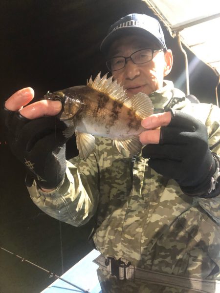 ヤザワ渡船 釣果