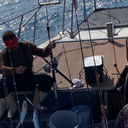 あみや渡船 JIGBOY 釣果