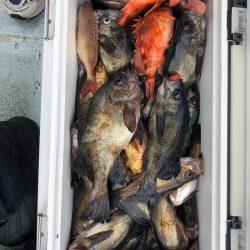 フィッシング キッタカ 釣果