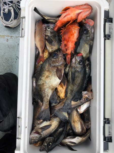 フィッシング キッタカ 釣果