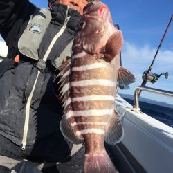 渡船屋たにぐち 釣果