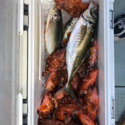 フィッシング キッタカ 釣果