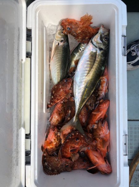 フィッシング キッタカ 釣果