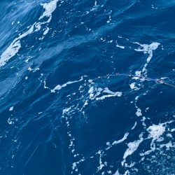 あみや渡船 JIGBOY 釣果