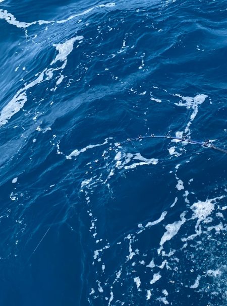 あみや渡船 JIGBOY 釣果