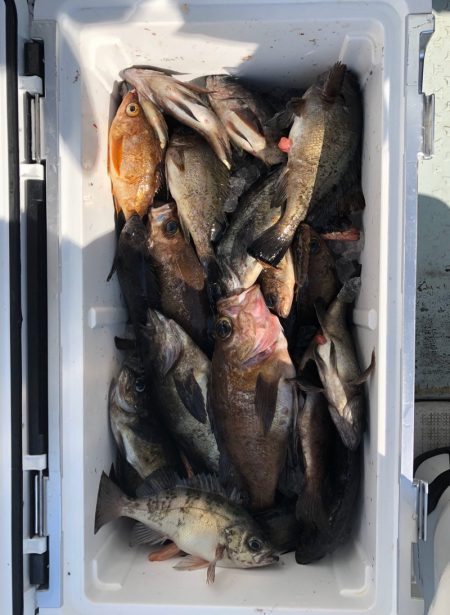 フィッシング キッタカ 釣果