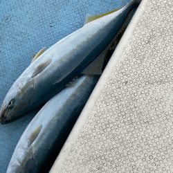 あみや渡船 JIGBOY 釣果