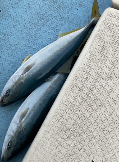 あみや渡船 JIGBOY 釣果