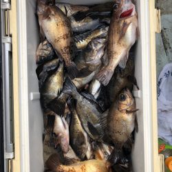 フィッシング キッタカ 釣果