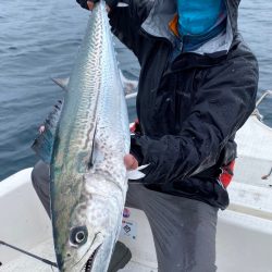 「LaGooN」蒼陽丸 日和号 釣果