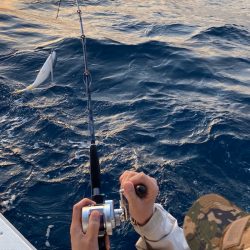 あみや渡船 JIGBOY 釣果