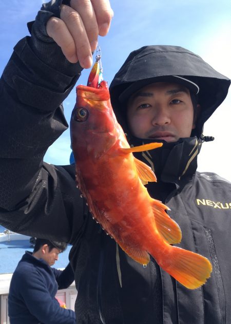 渡船屋たにぐち 釣果