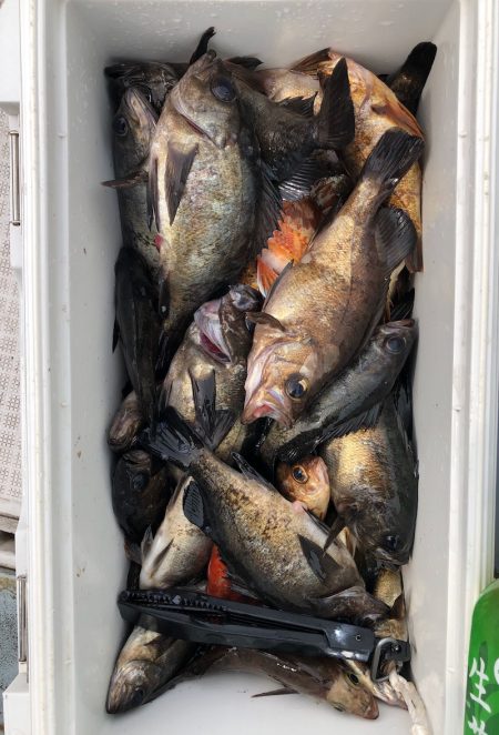 フィッシング キッタカ 釣果