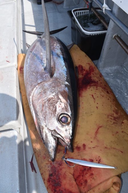 渡船屋たにぐち 釣果