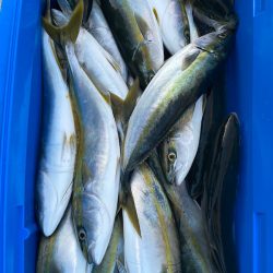 あみや渡船 JIGBOY 釣果