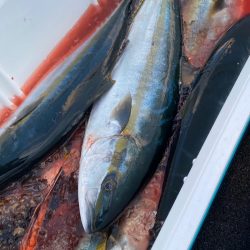 あみや渡船 JIGBOY 釣果