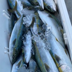 あみや渡船 JIGBOY 釣果