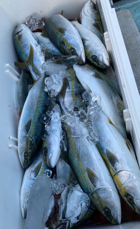 あみや渡船 JIGBOY 釣果