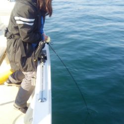 マリンガイド福丸 釣果