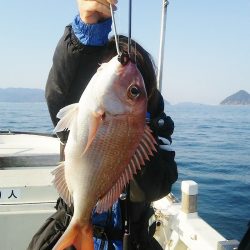 マリンガイド福丸 釣果