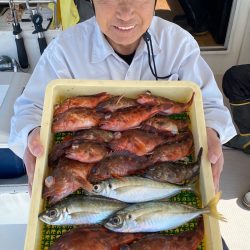 釣人家 釣果