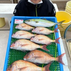 釣人家 釣果
