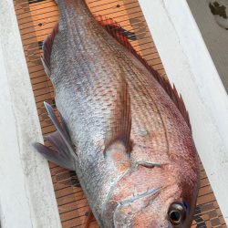 釣人家 釣果
