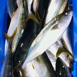 あみや渡船 JIGBOY 釣果