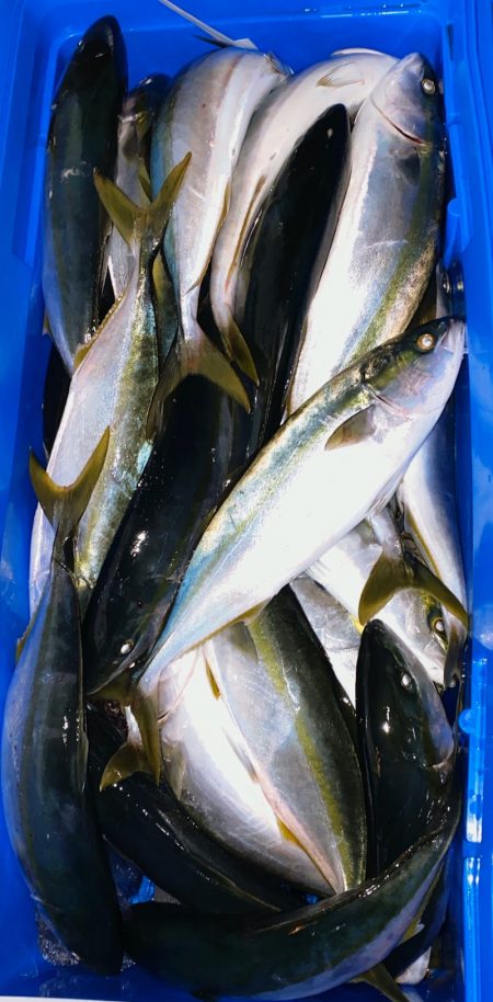 あみや渡船 JIGBOY 釣果