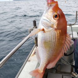 海季丸(みきまる) 釣果