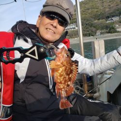 海季丸（みきまる） 釣果