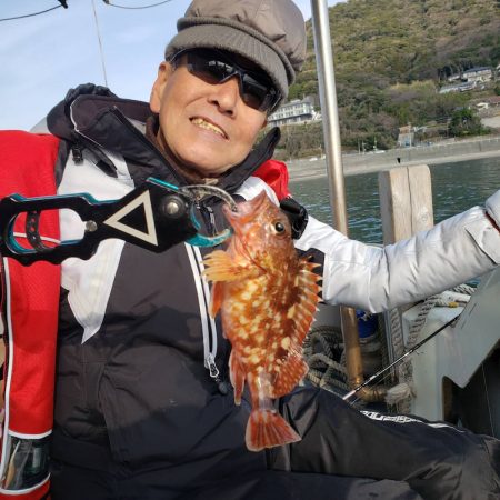海季丸（みきまる） 釣果