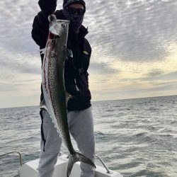 South Current 釣果