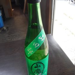 JDI Racing シールズマリンレジャー 釣果