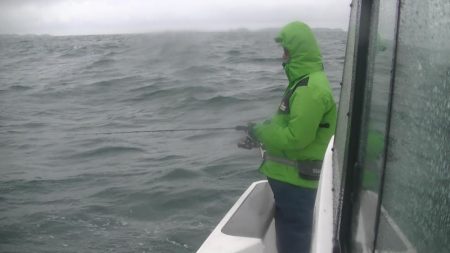 JDI Racing シールズマリンレジャー 釣果