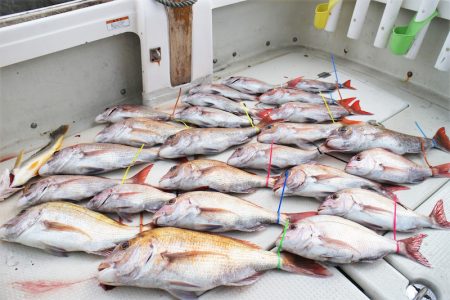 KIM Fishing Guide Ser…