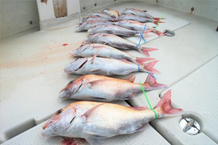 KIM Fishing Guide Ser…