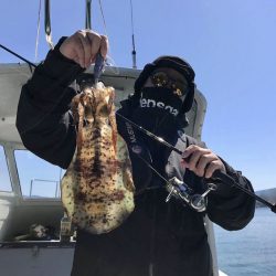 South Current 釣果