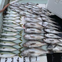 オーシャンスター(Ocean Star) 釣果