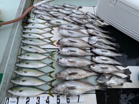 オーシャンスター(Ocean Star) …